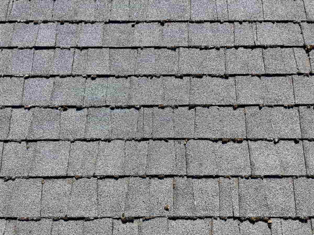 Tier 1 Roof with Light to Sporadic Moss Growth