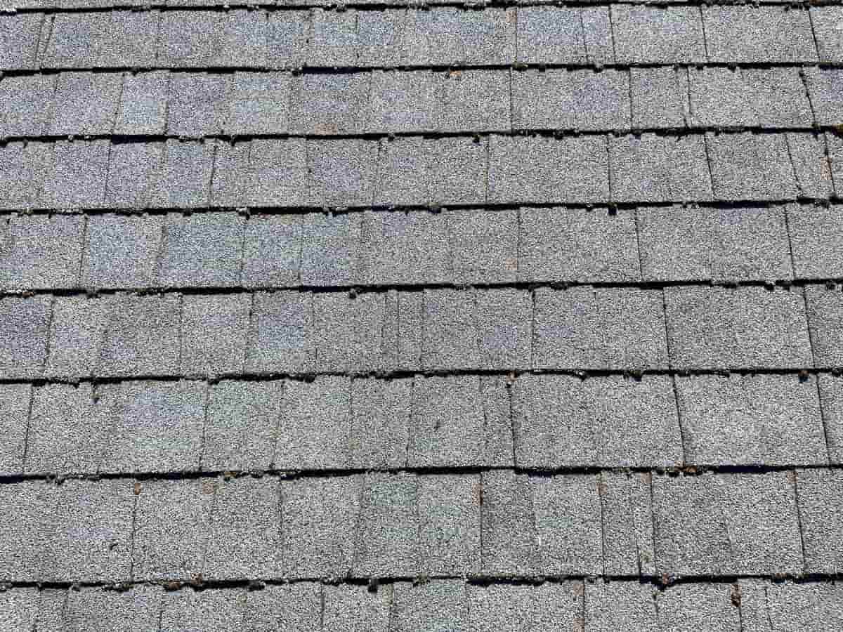 Tier 1 Roof with Sporadic Moss Growth
