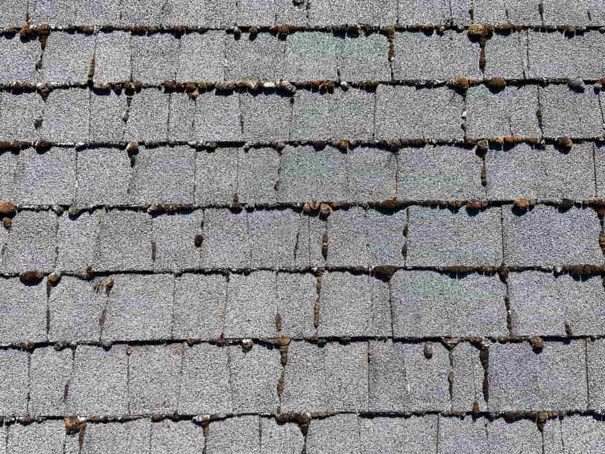 Tier 2 Roof with Moderate Moss Growth