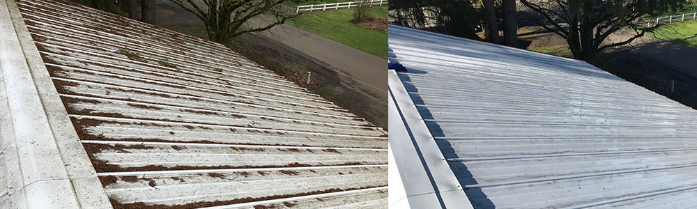 Salem OR Commercial Roof Cleaning: Chemical Soft Washing Process