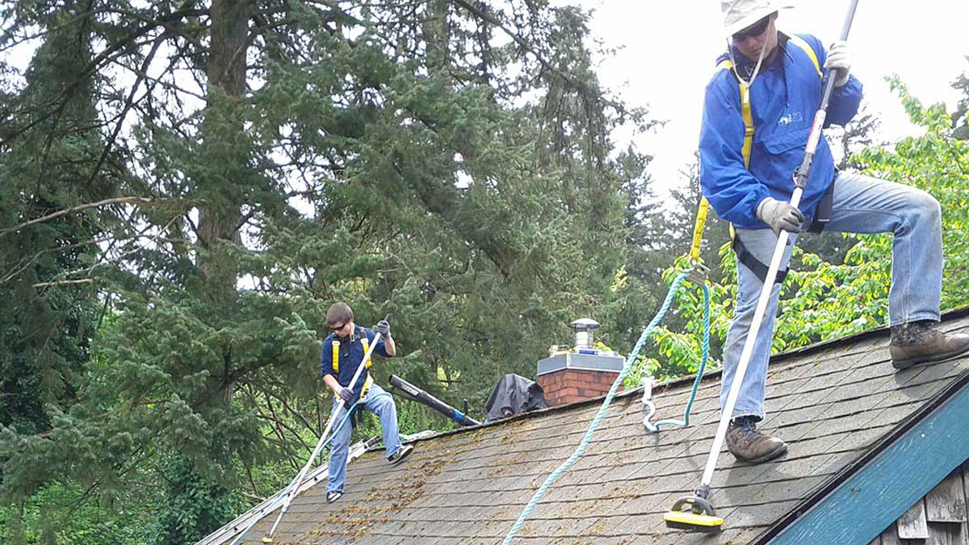 25 Proven Ways to Remove Moss From - Referred Roof Cleaners On Roof 