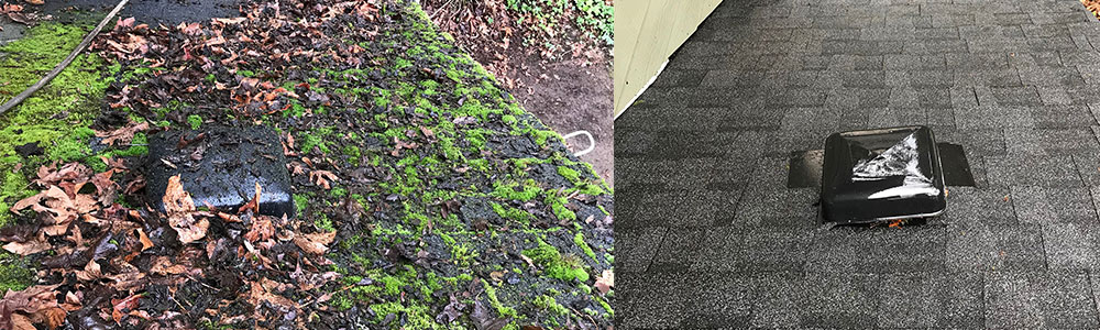 Salem OR Roof Moss Removal & Treatment | Tile & Metal Roof Cleaning