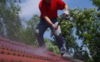 What Is the Roof Spray for Longevity?