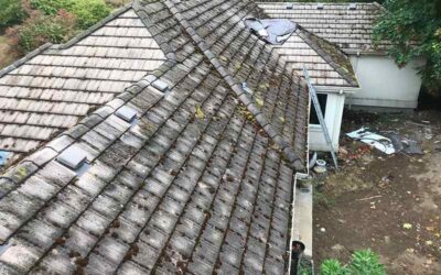 How Can I Extend the Life of My Roof?