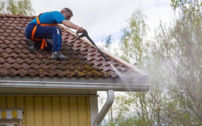 Moss Treatment for Roofs: Chemical vs. Manual Removal – Which Works Best?