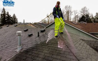What to Know About Roof Cleaning and Maintenance Before Winter in Salem?