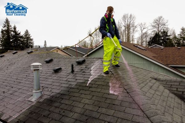 What to Know About Roof Cleaning and Maintenance Before Winter in Salem?