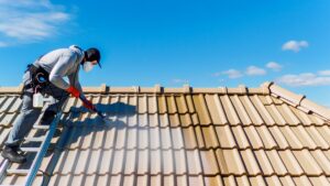 Chemical-Free Roof Cleaning Solution