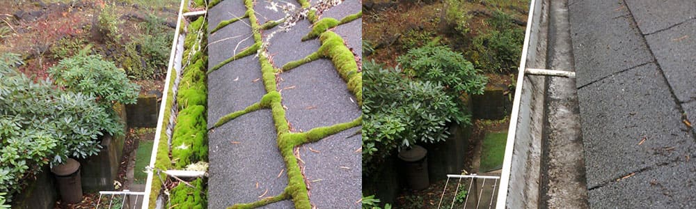 Gutter-Cleaning-Service-1 Gutter Cleaning Service 1