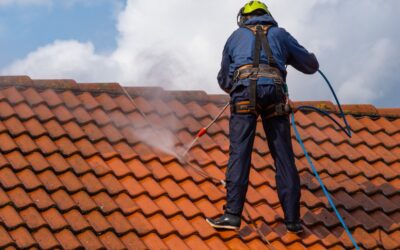 Top 4 Eco-Friendly Roof Cleaning Methods Compared: Which One Should You Choose?