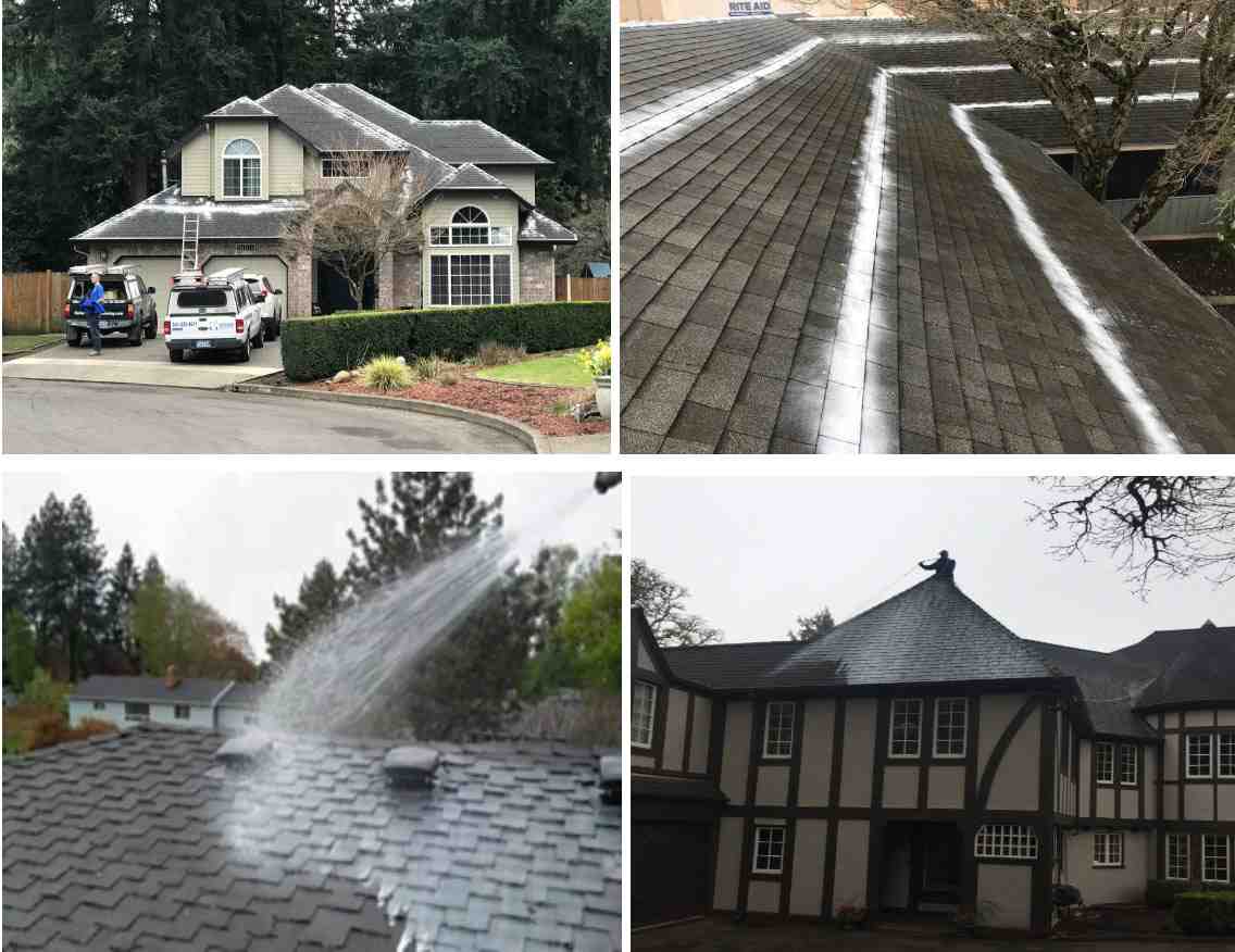 roof maintenance program