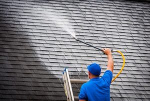 soft wash method of roof cleaning