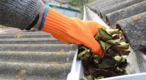Gutter Cleaning