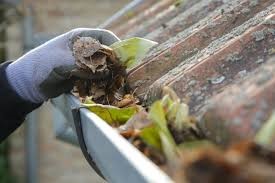 Gutter Cleaning