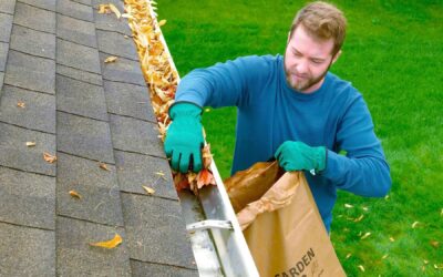 15 Shocking Reasons Why Gutter Cleaning Is So Important