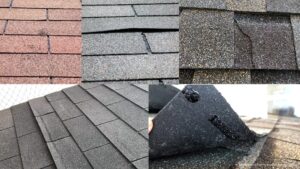Roof cleaning preventing Roof Damage and Prolonging Roof Life