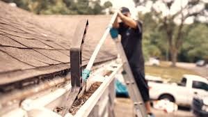 Clean Roof and Gutters