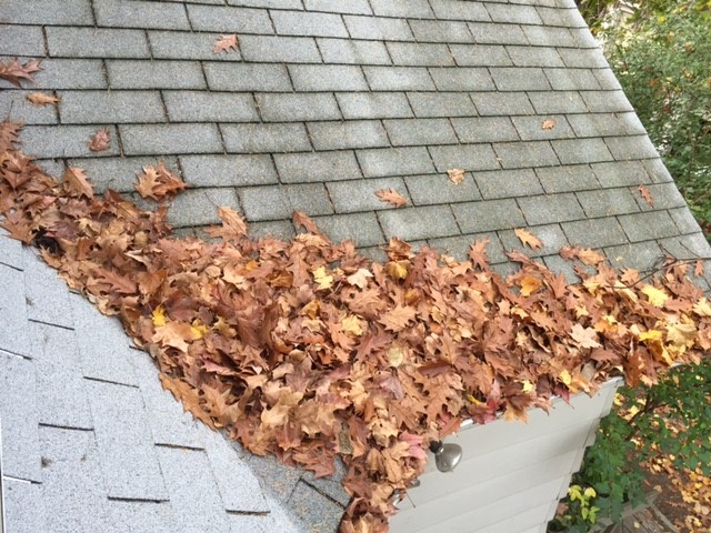 Cleaning and Debris Removal