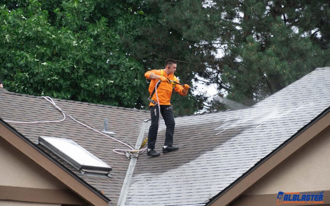 Why Roof Cleaning Matters More Than You Think