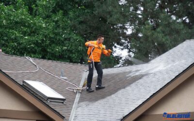 Why Roof Cleaning Matters More Than You Think