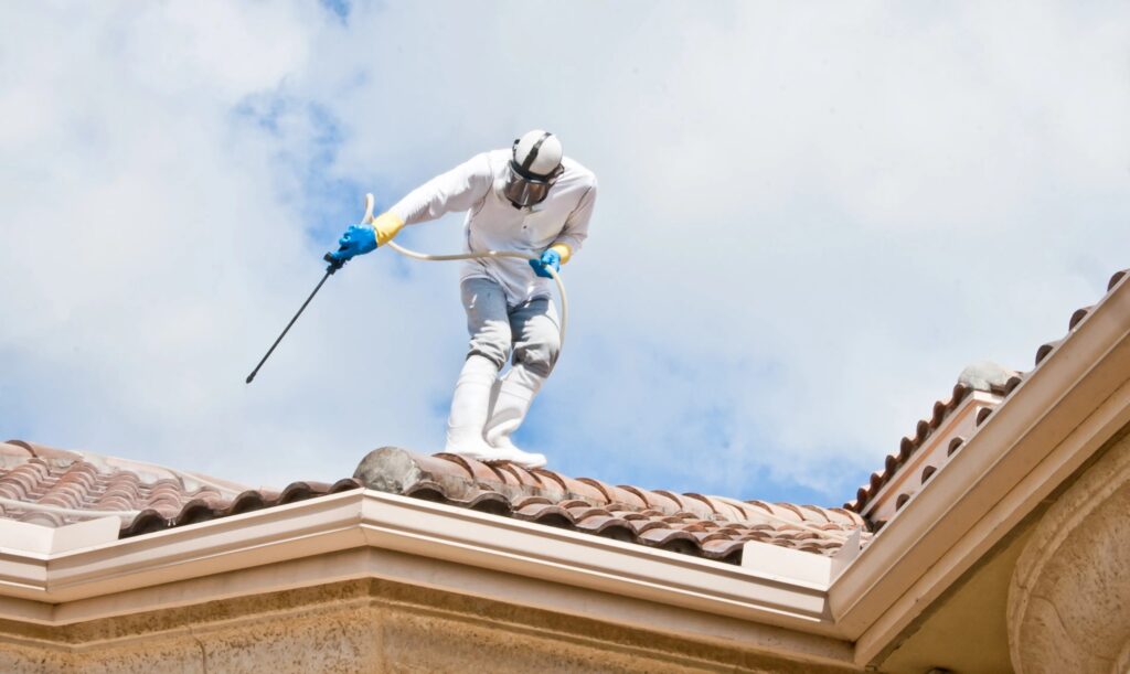 Cleaning Roof