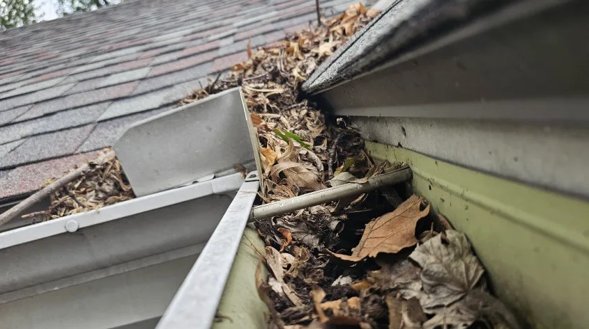 Drainage Issues Multiply Precautions