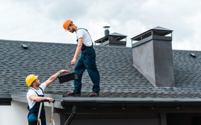What to Look for When Hiring Roof Cleaners: 7 Essential Questions to Ask