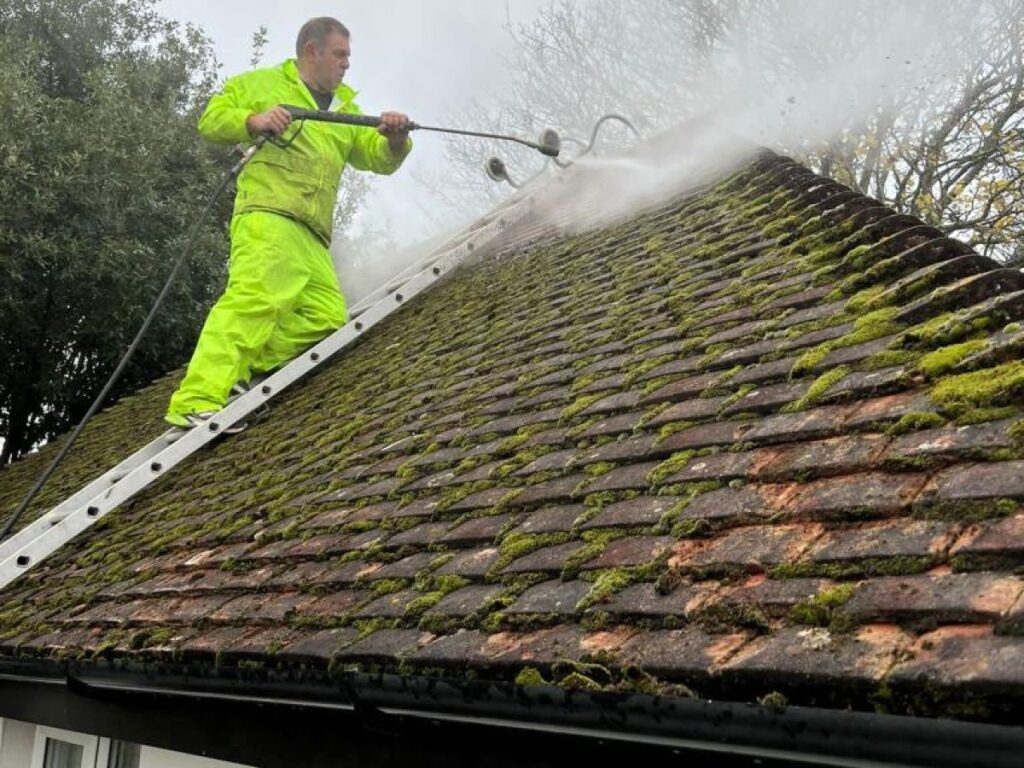 Moisture Infiltration and Mold Growth