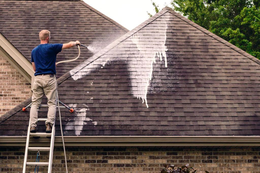 Professional Roof Cleaners to the Rescue