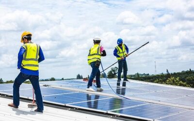 In-House Maintenance Staff vs. Professional Roof Cleaners: Who Ensures Better Roof Cleaning Safety?