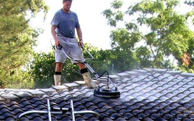 Support Local Businesses: Unmatched Value in Local vs. Franchise Roof Cleaning