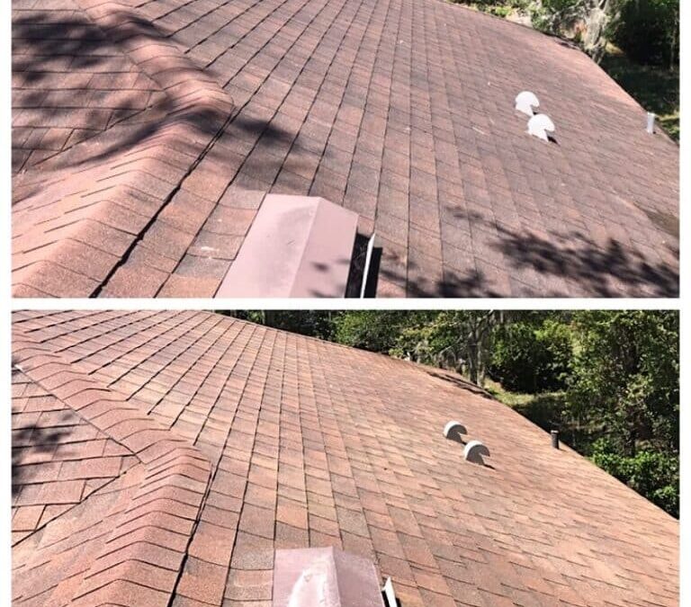 How Dirty Roofs Affect Curb Appeal