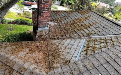 Spring Roof Cleaning Checklist for Homeowners: Debris Removal Tips