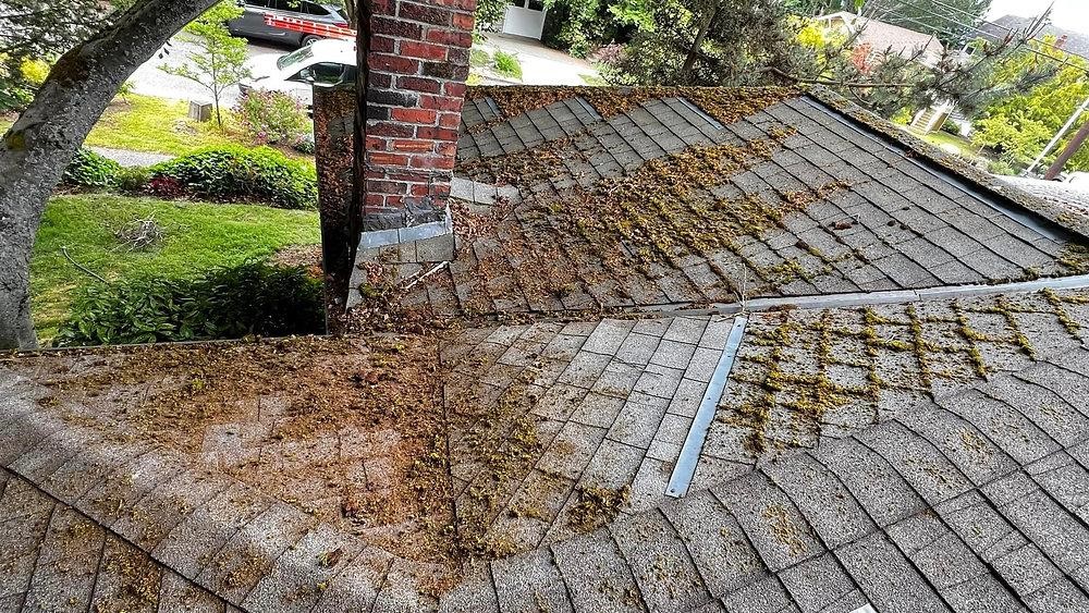 Spring Roof Cleaning Checklist for Homeowners: Debris Removal Tips