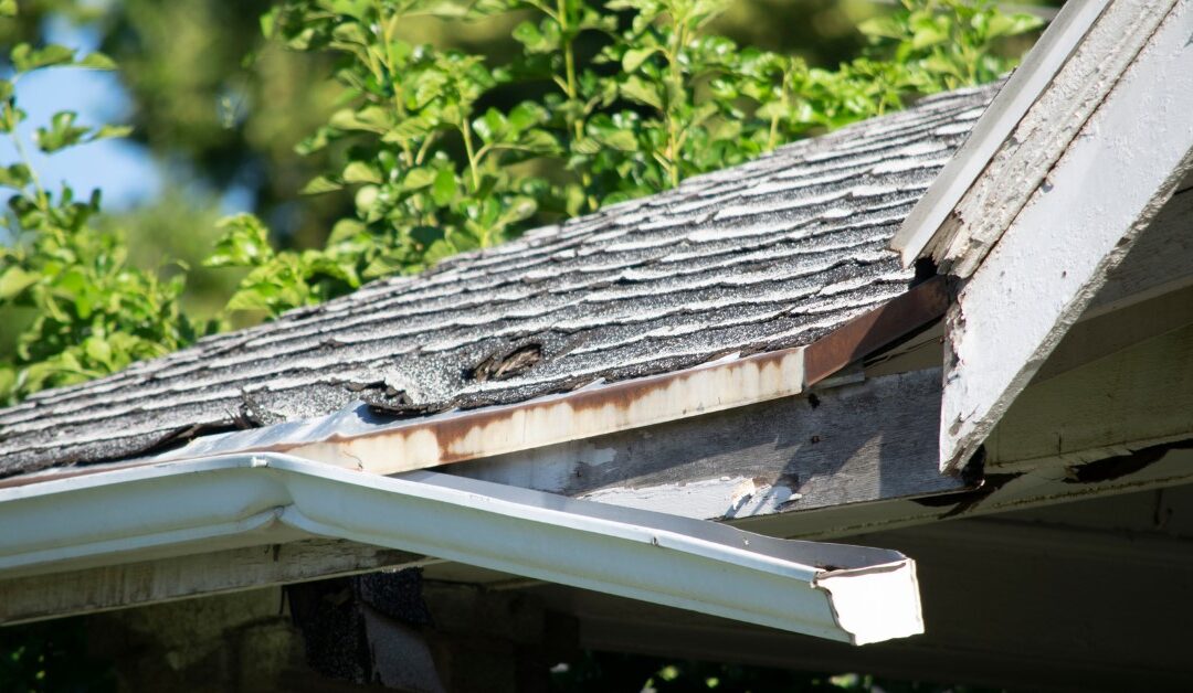 7 Irresistible Salt Air Roof Care Secrets Every Coastal Homeowner Will Love