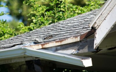7 Irresistible Salt Air Roof Care Secrets Every Coastal Homeowner Will Love