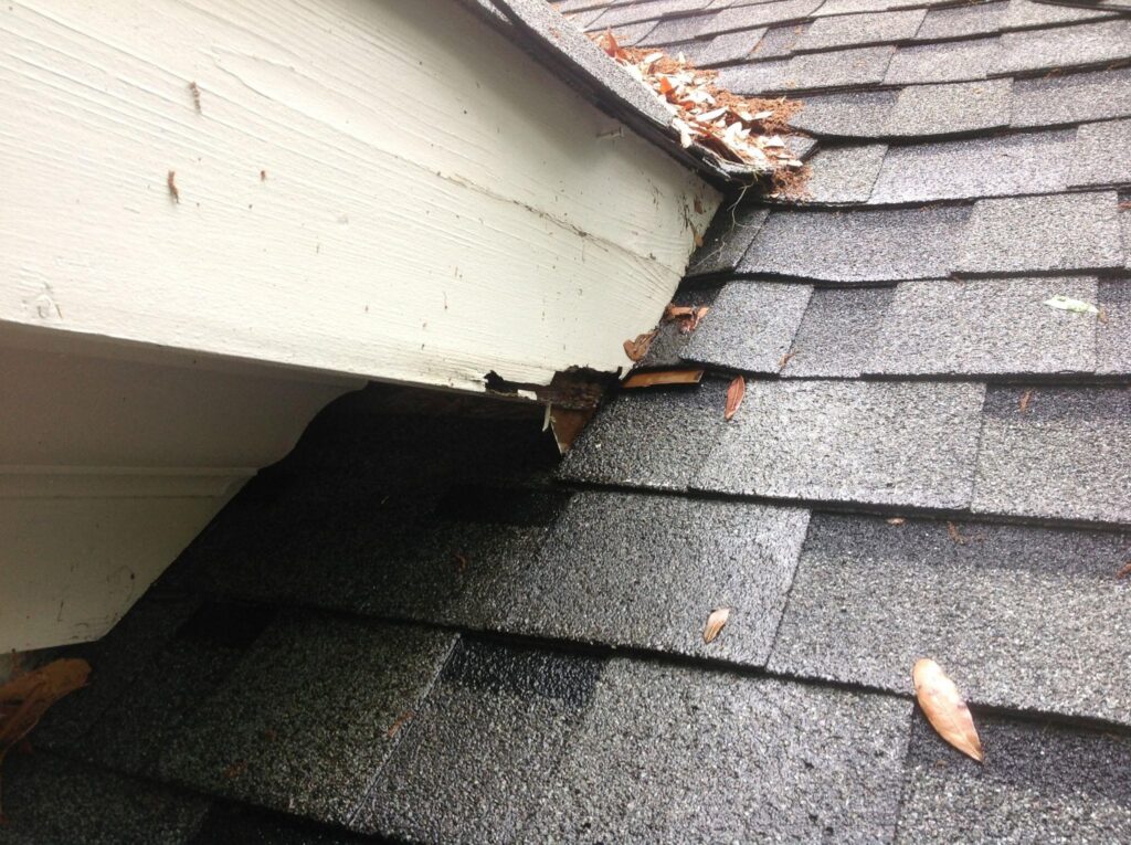 Roof Wear and Tear