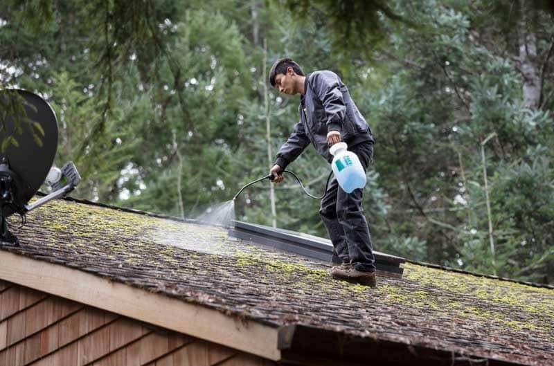 Moss Removal Protects Your Entire Home