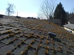 high prevalence of moss