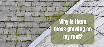 Why Moss Grows on Roofs