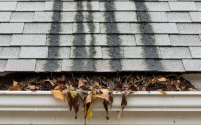 Preventing Water Damage with Regular Gutter Cleaning in Albany