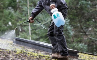 Does Roof Restoration Spray Prevent Moss? The 7 Powerful Truths Oregon Homeowners Must Know