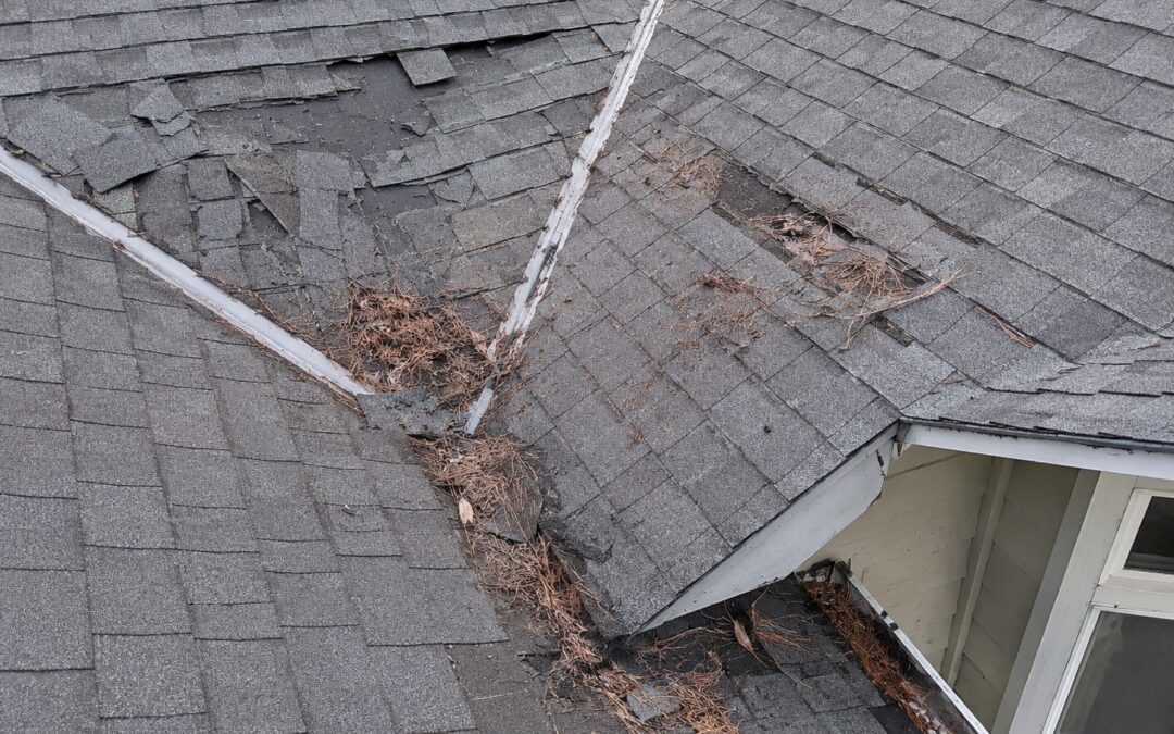Roof Damage in Independence, OR: How to Know If Your Roof Is in Trouble