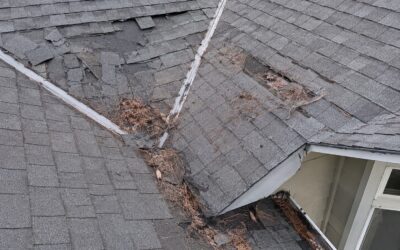 Roof Damage in Independence, OR: How to Know If Your Roof Is in Trouble
