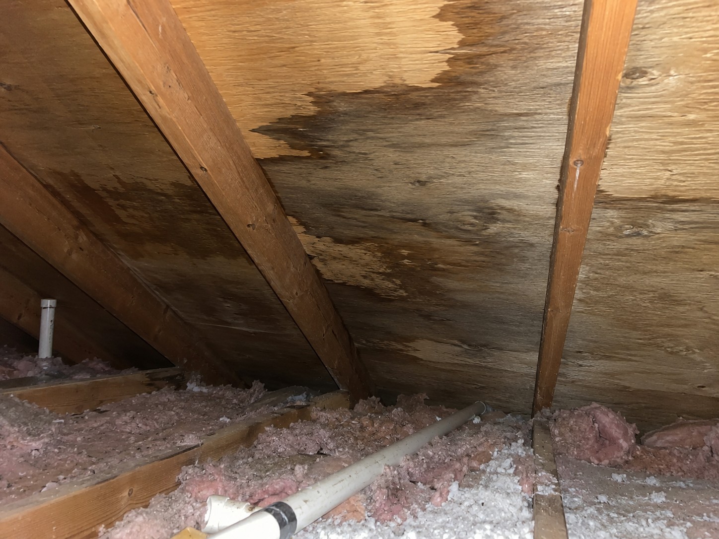 Roof deck boards or a wet discolored insulation batt