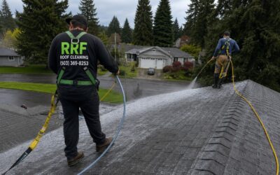 Top Rated Roof Cleaning Companies in the US (2026 Guide)