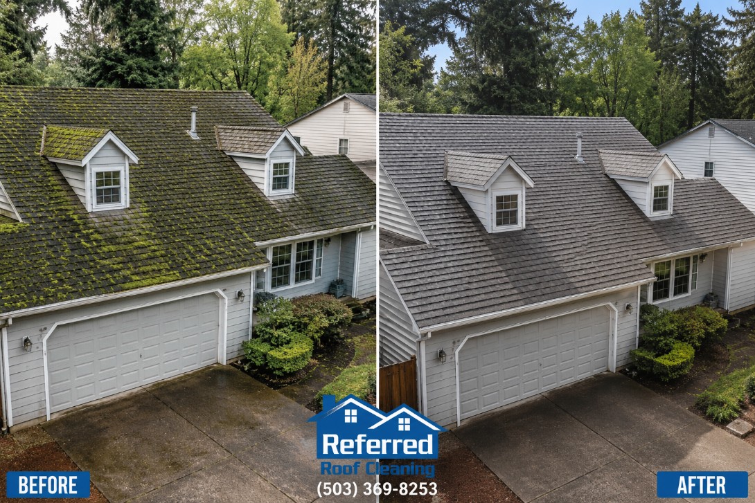 Clean residential roof in Salem 