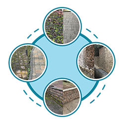 Moss Removal Icon v6