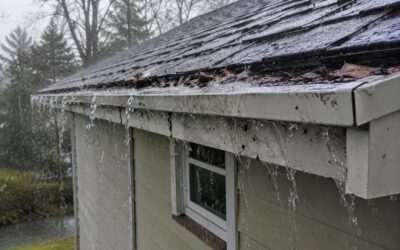 Warning Signs Gutters Need Professional Cleaning