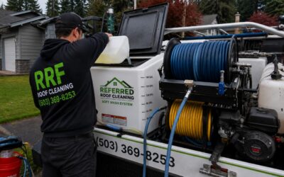 What Chemicals Do Roof Cleaning Services Use?